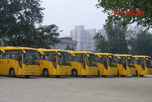 石家莊燕趙旅游汽車公司 汽車銷售新選擇，海量精選高清圖片庫(kù)助力決策